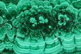 Flowery Polished Malachite Slab - DR Congo #360534-1